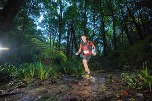 BIB: 
                            <button type="button" onclick="openModal(19241120)" class="btn btn-primary btn-sm float-right btn-popup" data-toggle="modal" data-target=".modal-high-quality">
                        <i class="fas fa-shopping-cart"></i> Add to Cart
                    </button>
                                            <button type="button" onclick="isThisMe(19241120, true)" class="btn btn-success btn-sm float-right btn-popup btn-isme hidden" data-toggle="tooltip" data-placement="bottom" title="นี่คือรูปของคุณใช่ไหม คลิกที่นี่เพื่อเอาเข้าอัลบั้ม">
                        <i class="fas fa-plus"></i> Add to album
                    </button>
                    <button type="button" onclick="isThisMe(19241120, false)" class="btn btn-warning btn-sm float-right btn-popup btn-isnotme hidden">
                        <i class="fas fa-ban"></i> Remove from album
                    </button>